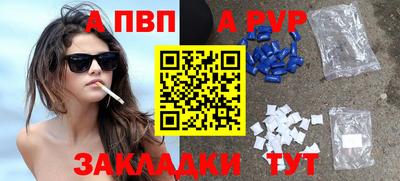 ECSTASY Гай