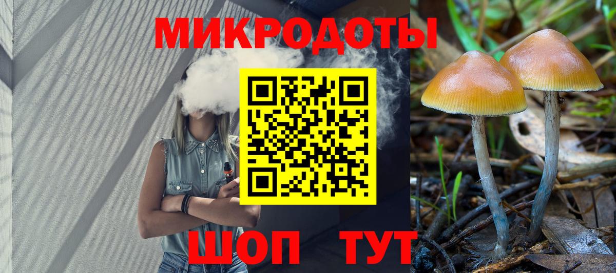 Новоуральск  Псилоцибиновые грибы мухоморы  Вход с VPN 