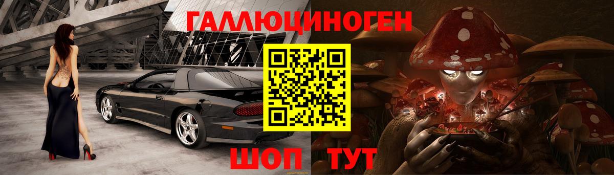 Псилоцибиновые грибы Psilocybine cubensis Новоуральск